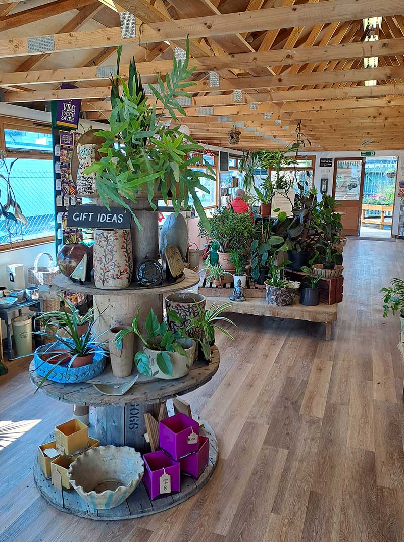 Gifted Plants Display Gifted Plants Display