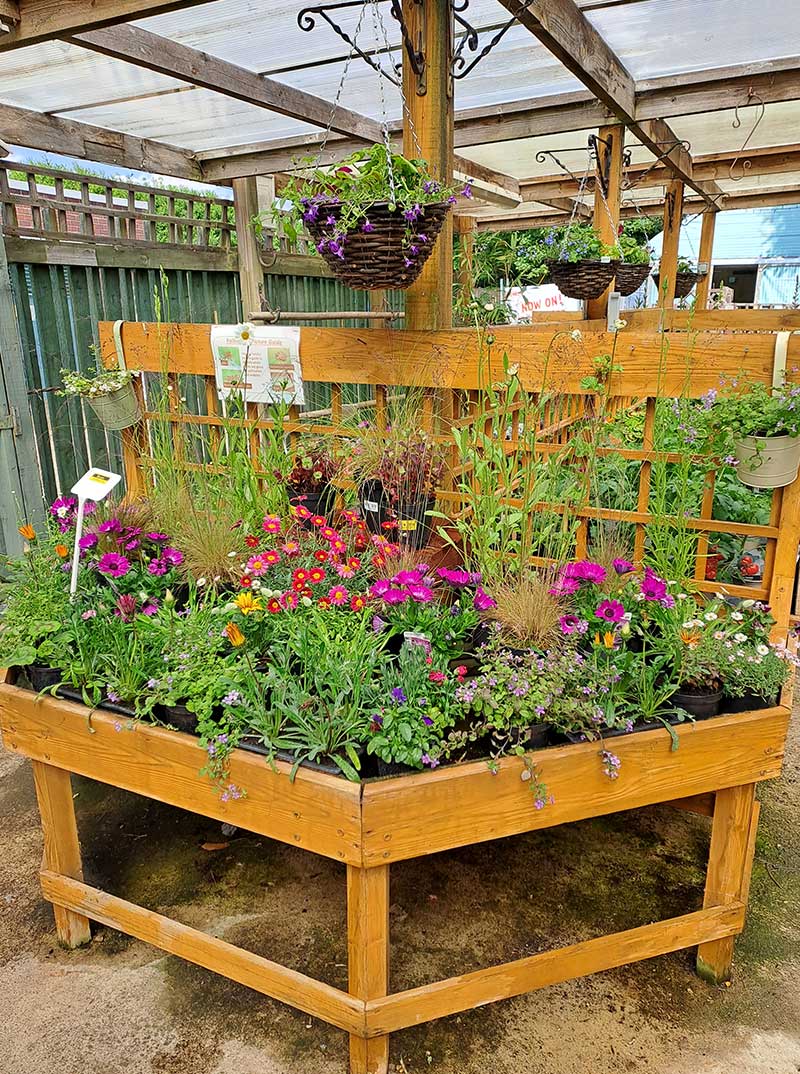 Gifted Plants Gifted Plants