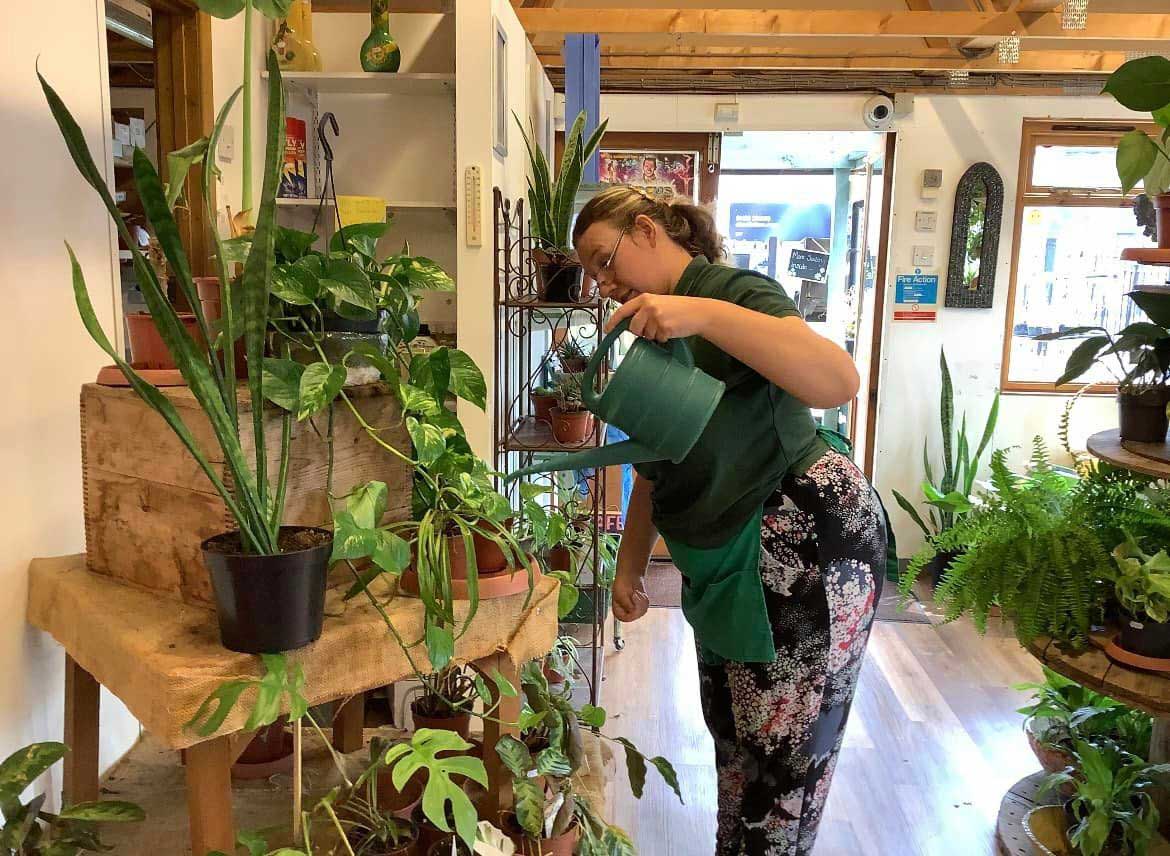 katie-caring-for-the-plants Katie caring for the plants